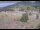 Webcam in Lake George, Colorado, 107.7 km