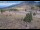 Webcam in Lake George, Colorado, 44.2 km