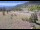 Webcam in Lake George, Colorado, 66.6 km