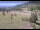 Webcam in Lake George, Colorado, 27.3 mi away