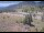 Webcam in Lake George, Colorado, 67.9 km entfernt