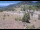 Webcam in Lake George, Colorado, 81.6 km