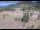 Webcam in Lake George, Colorado, 113.6 km