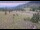 Webcam in Lake George, Colorado, 23.4 mi away