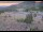 Webcam in Lake George, Colorado, 73.8 km entfernt