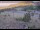 Webcam in Lake George, Colorado, 16 mi away