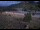 Webcam in Lake George, Colorado, 51.1 mi away