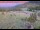 Webcam in Lake George, Colorado, 62.8 km entfernt