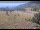 Webcam in Lake George, Colorado, 83.5 km