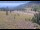 Webcam in Lake George, Colorado, 43.9 km