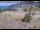 Webcam in Lake George, Colorado, 74.1 km