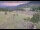 Webcam in Lake George, Colorado, 26 mi away
