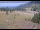 Webcam in Lake George, Colorado, 26 km