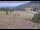 Webcam in Lake George, Colorado, 86.8 km