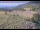 Webcam in Lake George, Colorado, 80.3 km