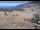 Webcam in Lake George, Colorado, 56.6 km