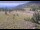 Webcam in Lake George, Colorado, 45.2 km entfernt