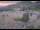 Webcam in Lake George, Colorado, 93.6 km