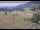 Webcam in Lake George, Colorado, 44.6 mi away