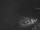 Webcam in Diano Marina, 2.7 mi away