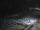 Webcam in Diano Marina, 0.2 km