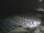 Webcam in Diano Marina, 1.7 km