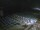 Webcam in Diano Marina, 2 km