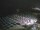 Webcam in Diano Marina, 5.7 km