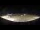 Webcam in Calvi (Corsica), 22.1 mi away