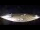Webcam in Calvi (Corsica), 25.7 mi away