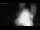 Webcam in Großenbrode, 19.7 km entfernt
