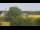 Webcam in Ostseebad Damp, 1.3 km