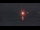 Webcam in Ostseebad Damp, 0.2 mi away