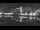 Webcam in Ostseebad Damp, 10.7 km