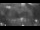 Webcam in Ostseebad Damp, 0.2 mi away