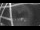 Webcam in Ostseebad Damp, 0.3 mi away