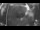 Webcam in Ostseebad Damp, 0.5 mi away