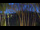 Webcam in Markgrafenheide, 10.3 mi away