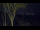 Webcam in Markgrafenheide, 1.7 mi away