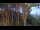 Webcam in Markgrafenheide, 8.7 mi away