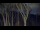 Webcam in Markgrafenheide, 12.5 km entfernt