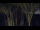 Webcam in Markgrafenheide, 9.9 mi away
