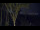 Webcam in Markgrafenheide, 16.7 km