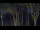 Webcam in Markgrafenheide, 5.6 km