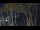 Webcam in Markgrafenheide, 38.7 km