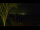 Webcam in Markgrafenheide, 44.6 km
