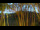 Webcam in Markgrafenheide, 4.9 km