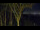 Webcam in Markgrafenheide, 4.5 km entfernt