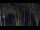 Webcam in Markgrafenheide, 8.3 km entfernt