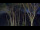 Webcam in Markgrafenheide, 12.8 km